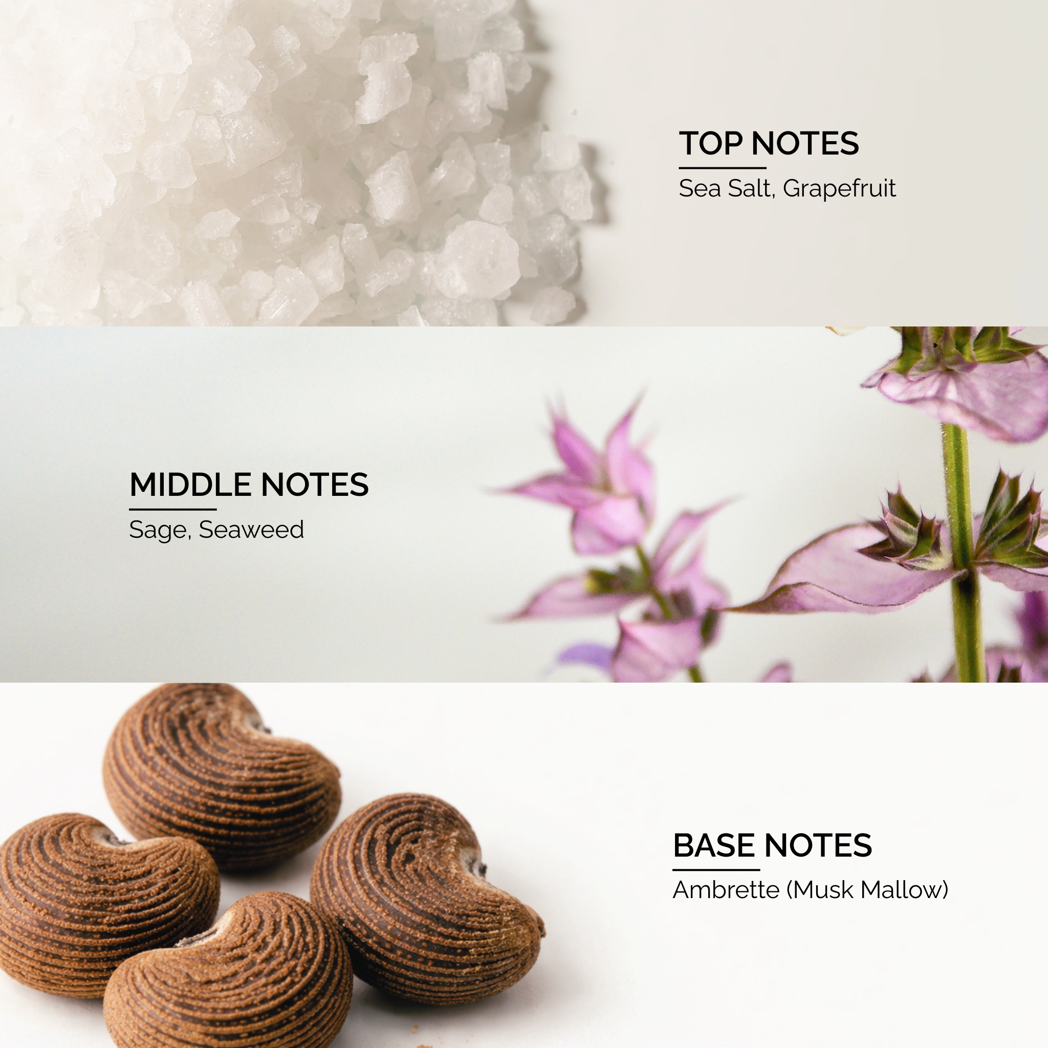 Wood Sage & Sea Salt