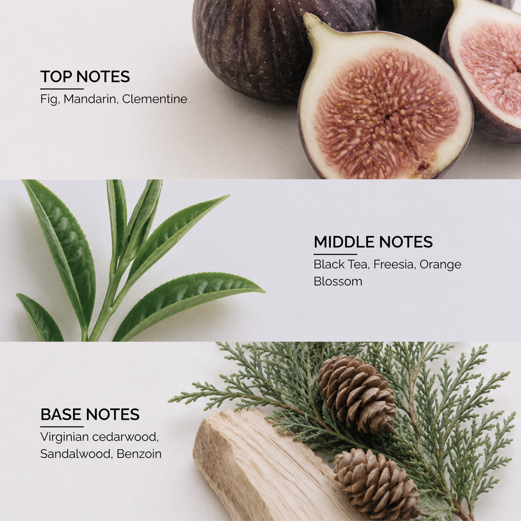 Fig Infusion by Nathalie Lorson