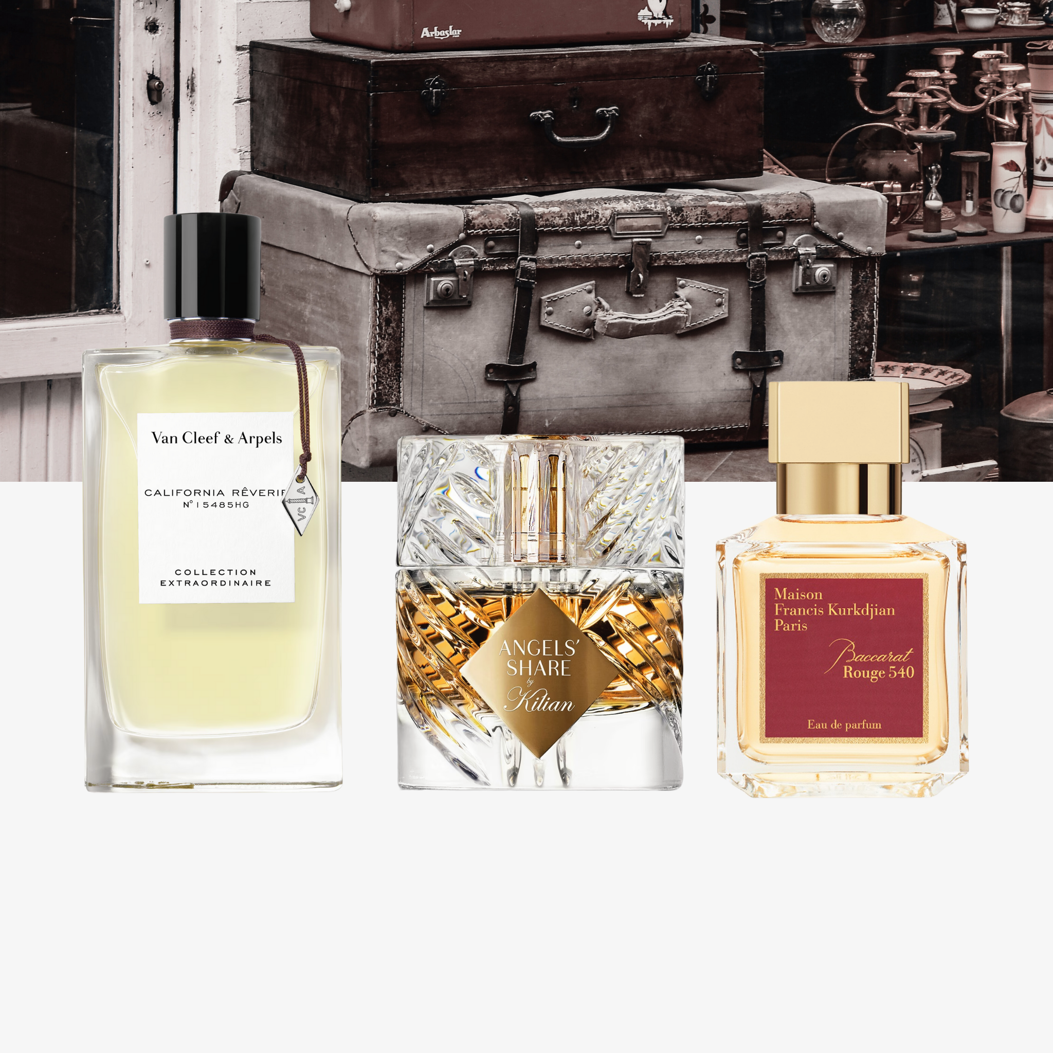 Perfume wardrobe_niche edition