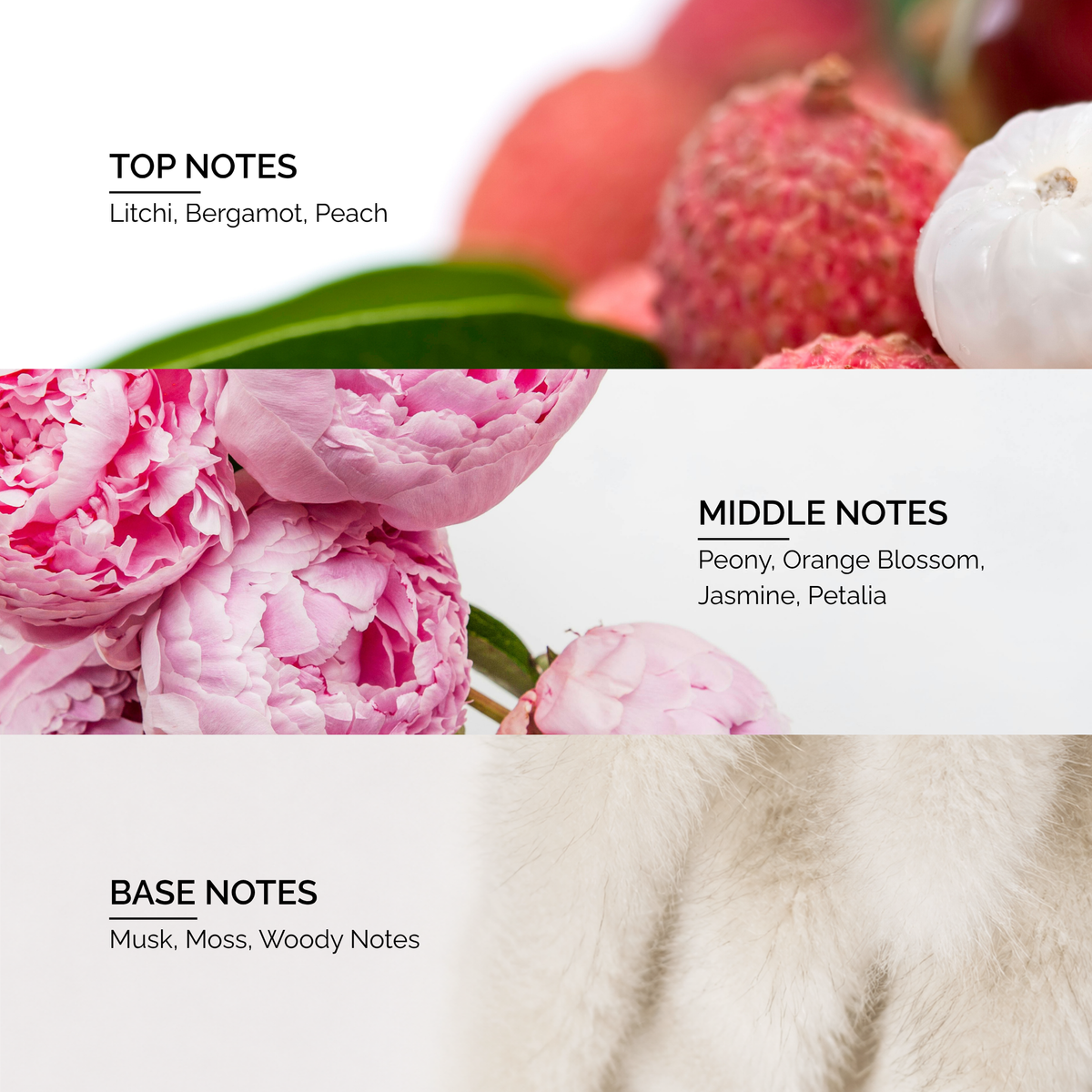 Fleur Narcotique