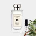 Wood Sage & Sea Salt